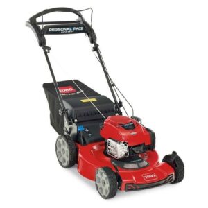 Toro Recycler Self-Propelled Mower 163cc Briggs & Stratton 7.25 TP (22″) #21462